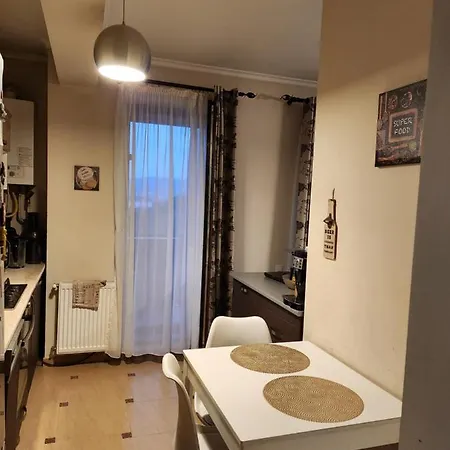 Brownie Apartment Cluj-Napoca Exterior photo
