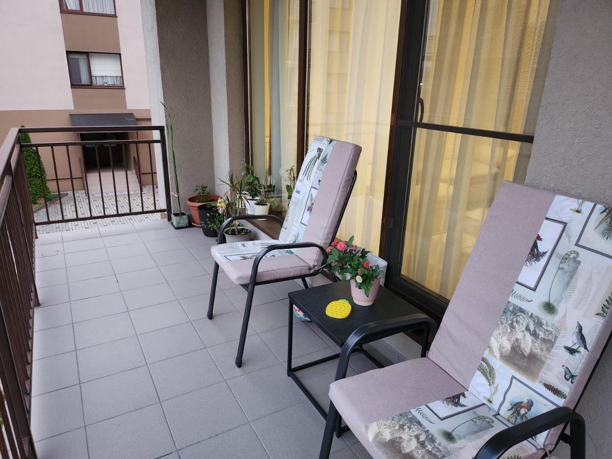 Apartment Brownie *